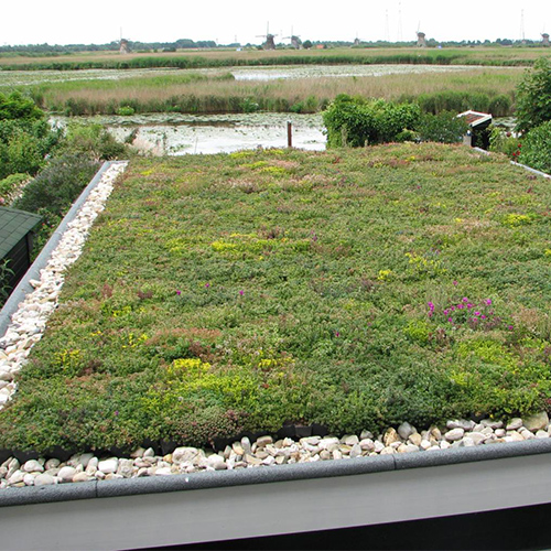 header-mob-sedum-01